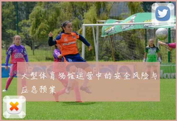 大型体育场馆运营中的安全风险与应急预案