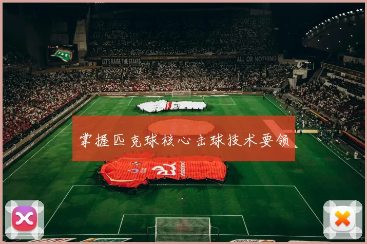 掌握匹克球核心击球技术要领