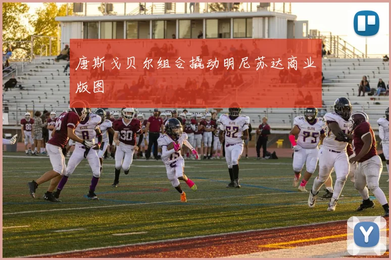 唐斯戈贝尔组合撬动明尼苏达商业版图