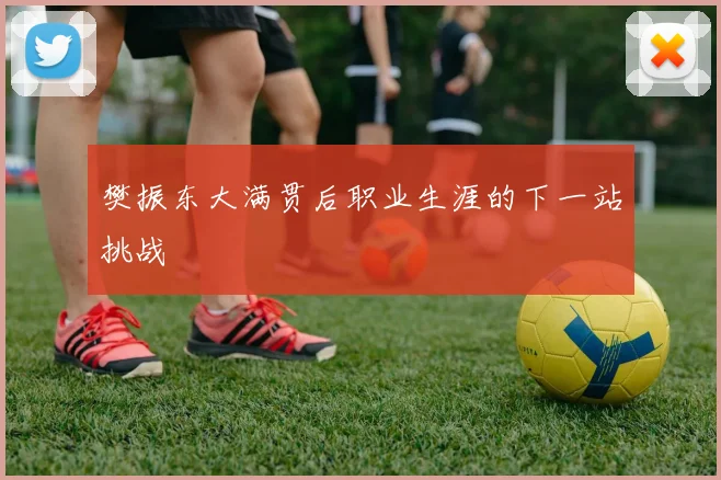 樊振东大满贯后职业生涯的下一站挑战