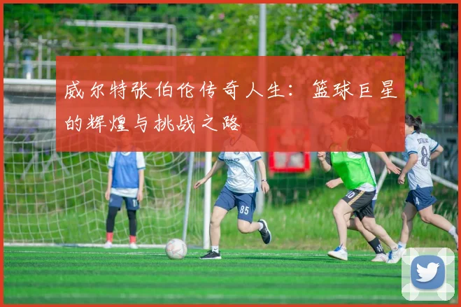 威尔特张伯伦传奇人生：篮球巨星的辉煌与挑战之路