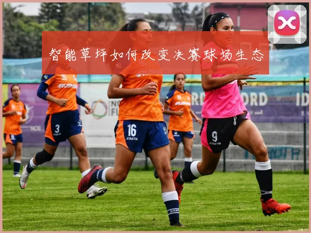 智能草坪如何改变决赛球场生态