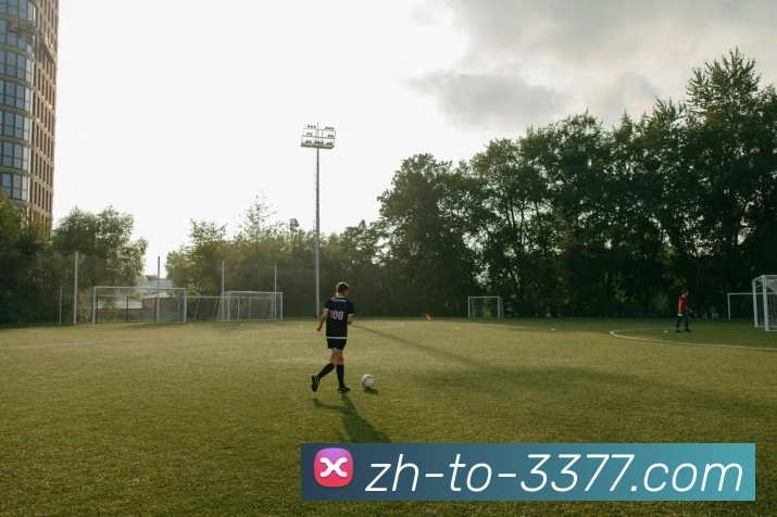 3377品牌故事