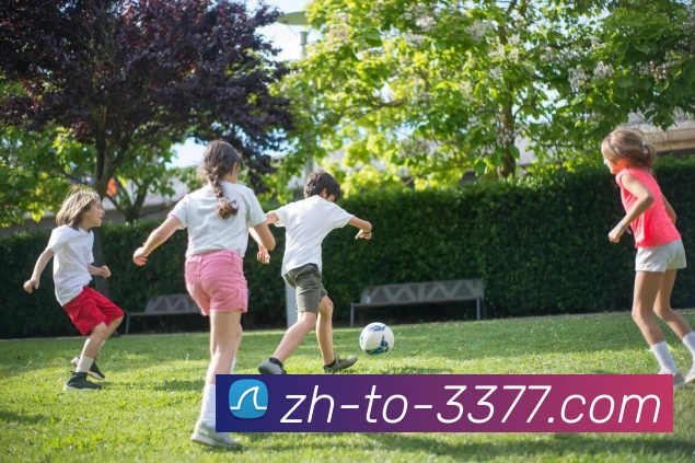 多媒体互动体验