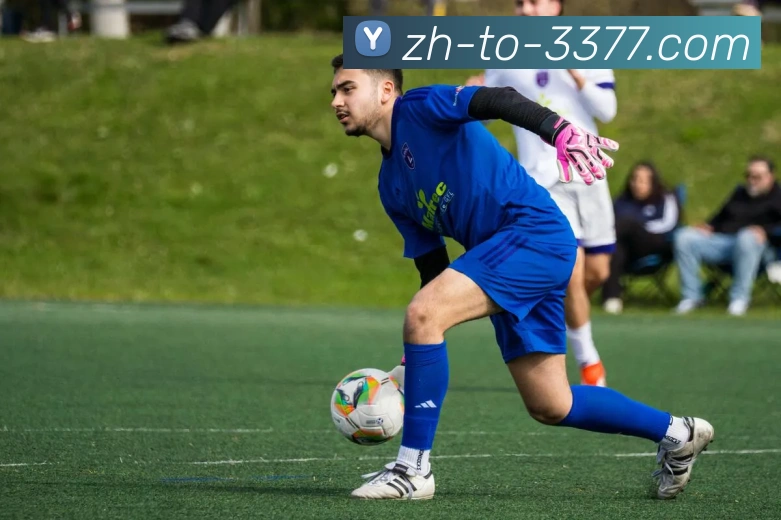 3377APP 体育赛事宣传图